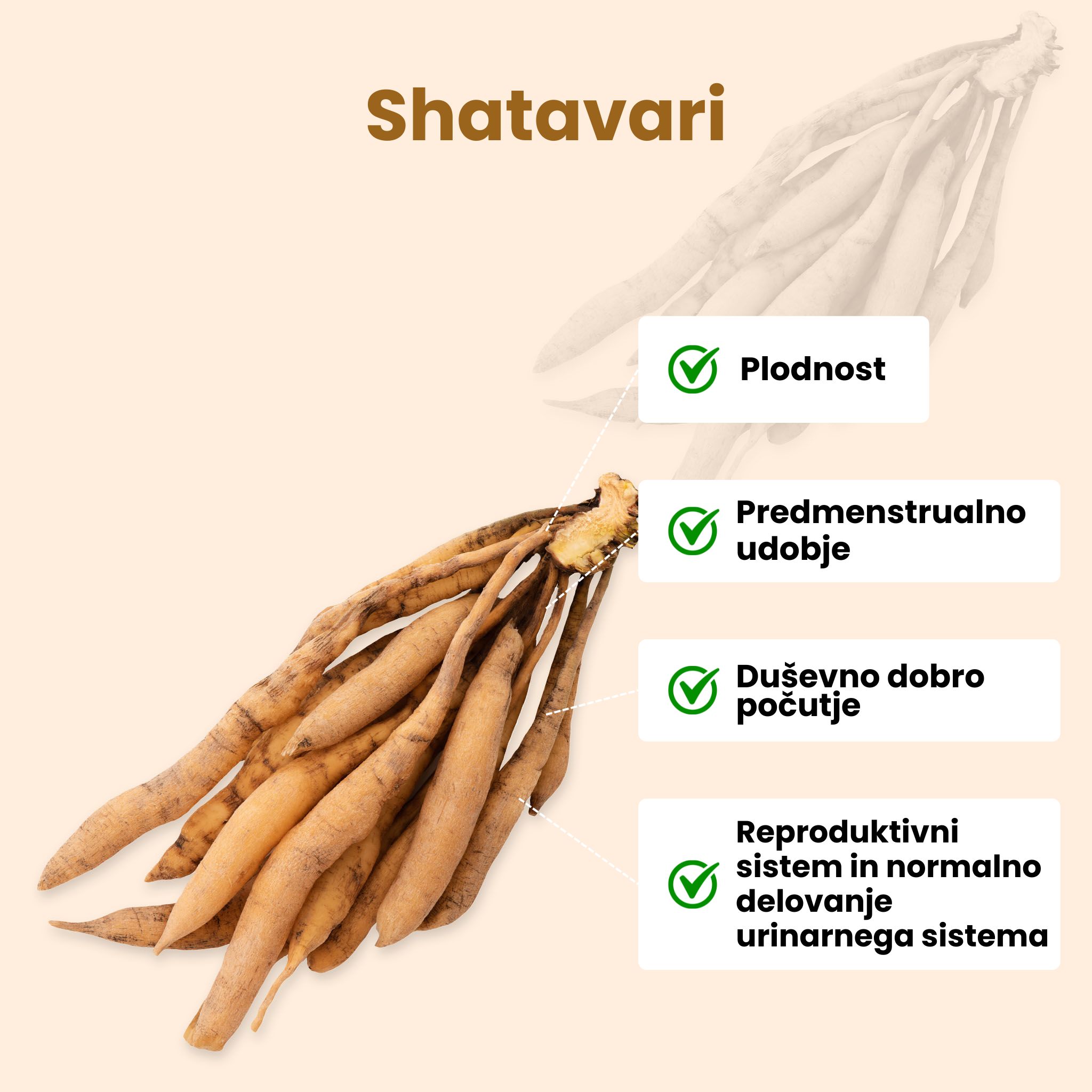(Slovinština) Shatavari